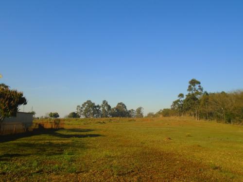 Imóvel 516774